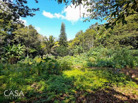 Discover the perfect blend of affordability and natural beauty with our latest offering: a tranquil property situated mere minutes from the vibrant heart of Boquete. Nestled in the serene Palmira area, this land for sale is a gem waiting to be discov...