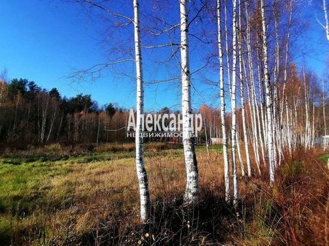 1701255 Приобретение участка земли — это важный шаг для каждого человека. Это не только инвестиция, но и возможность реализовать свои мечты о загородной жизни. Участок, который мы предлагаем, имеет все для комфортного проживания и гармоничного отдыха...