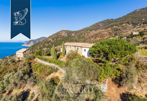 Antico casale dell'Ottocento in vendita in piacevole posizione panoramica a pochi chilometri dal centro di Bonassola, nel tratto di costa che anticipa le Cinque Terre. La location è idilliaca, tra fitti boschi di pini e di lecci che si interromp...