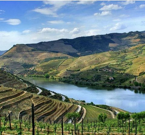 Farm view Douro River 'Live the dream in the heart of the Douro, a UNESCO World Heritage Site! This stunning farmhouse offers a panoramic and unobstructed view of the majestic Douro River, where the scenic beauty merges with the tranquility of the su...