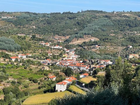 Finca de 5000 metros de superficie con una casa de almacenamiento de piedra granítica. Ubicado en VILA DE AVÔ - OLIVEIRA do HOSPITAL. Hay olivos y árboles frutales, así como un espacio arbóreo para cortar leña. El terreno se presenta en terrazas, con...