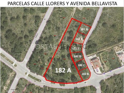 Here you have fabulous plots for sale in the Urbanization Coves Noves, where there are all the necessary infrastructures so that you can build your house, without the suspension of licenses. Some of the plots border rustic land and are relatively fla...