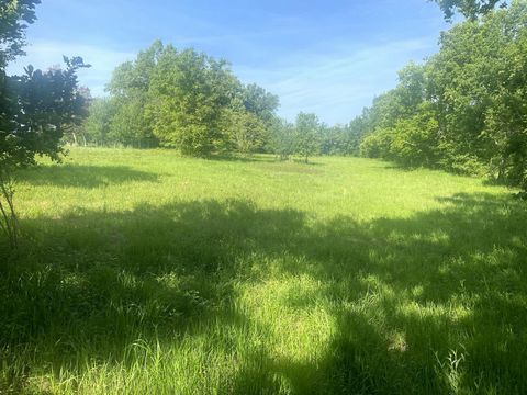 photo no. 1