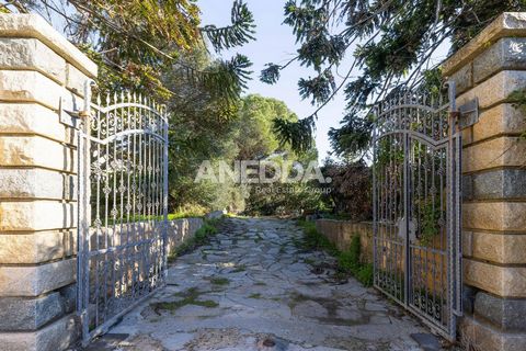 Detached villa in La Maddalena – A unique investment opportunity We offer for sale a spacious detached villa located on the enchanting island of La Maddalena, in an exclusive position and surrounded by the extraordinary beauty of the sea and nature. ...