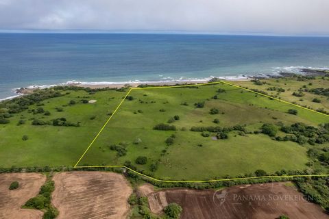 Seize this exceptional opportunity to own a vast 48-hectare beachfront property in Pedasi, located on a stunning stretch of the southern Azuero Peninsula between Punta Mala and Los Destiladeros. The land is primarily flat and boasts over 450 meters o...