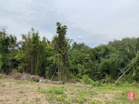 Discover the perfect opportunity with this stunning 892 sqm piece of land, ideally located on the way to Krabi town. Nestled amidst lush natural surroundings and a few charming local houses, this property offers the perfect balance of tranquility and...