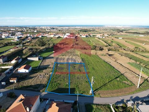 Terreno de 2.085m2 localizado em Fetais - Atouguia da Baleia. Com projeto aprovado para construção de 2 moradias T4 com 2 pisos e piscina. Em zona residencial tranquila. Com bons acessos às praias e campos de golfe do Oeste. *As informações disponibi...