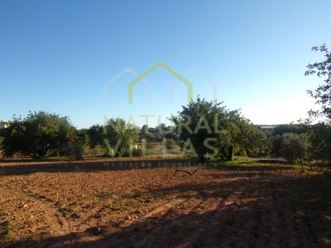 Property of 1.3ha with Sea View and Potential for Monetization, a few minutes from Estoi. Properties in Vale de Seixo with a total land area of 13,846.50 m², consisting of two buildings - rustic and urban. The urban building, designated as a support ...