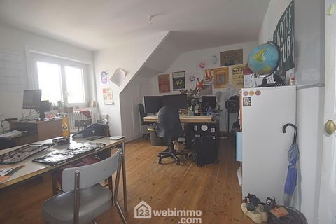 photo no. 11