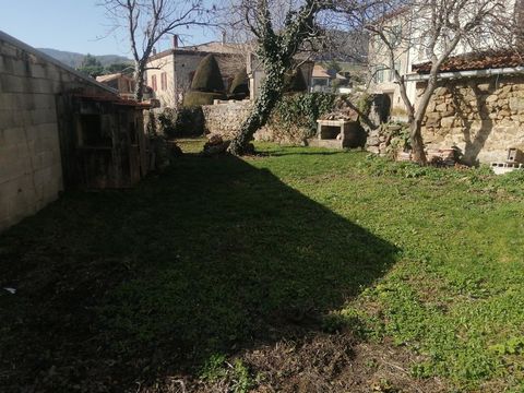 photo no. 6
