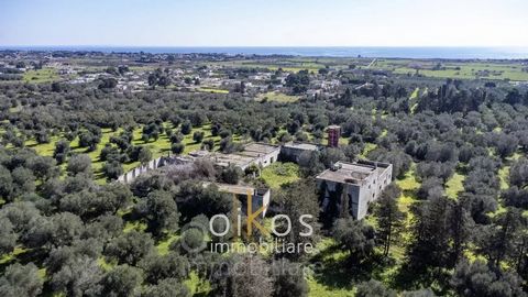 Enclavada en una de las zonas costeras más vírgenes y fascinantes de Puglia, esta masseria histórica goza de una ubicación privilegiada a solo 2 km del mar, entre San Pietro in Bevagna y Campomarino di Maruggio. Este tramo de costa es conocido por su...