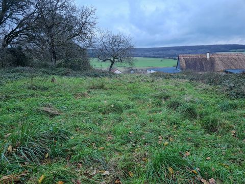 Terrain constructible, en bordure de forêt