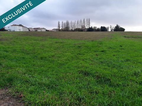 vaste terrain de plus de 1,5 hectare