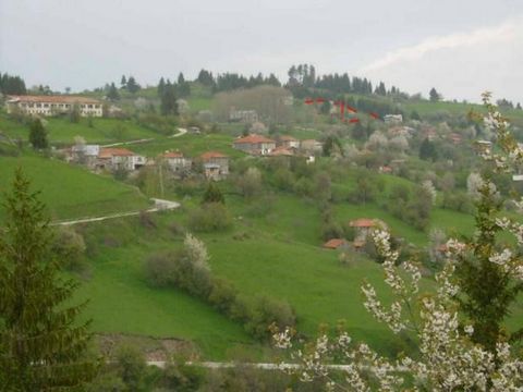 TEL.: ... ; 0301 69999/WIR BIETEN EIN GRUNDSTÜCK VON 2700 M² IM MALERISCHEN RHODOPE-DORF GELA ZUM VERKAUF AN. IN DER NÄHE DES ORTES, AN DEM DIE TRADITIONELLE MESSE UND DER DUDELSACKWETTBEWERB STATTFINDEN. WUNDERSCHÖNES PANORAMA. VERFÜGBARER STROM, WA...