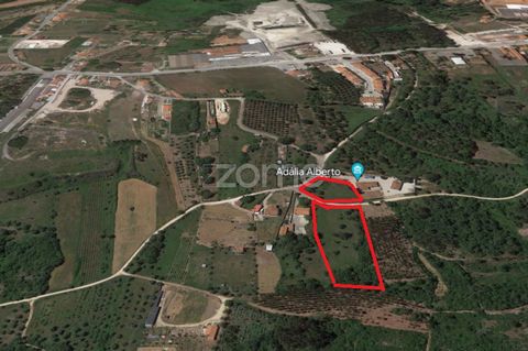 Identificação do imóvel: ZMPT552105 Property Description: Building land with 7080 m2 in Cumeira de Cima, Juncal 8 minutes from Porto de Mós and Alcobaça - maximum land use rate of 0.3% Location and surroundings: - Location in a residential area in Co...
