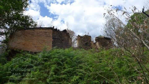Ruin and land in Beco, near Ferreira do Zezere A plot with land and ruin, located in the Beco, near Ferreira do Zezere. The land with about 560 m2 inclined, with a stone ruin included with 37m2 to be rebuilt, on the side of the road. The whole surrou...