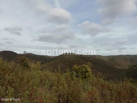 Monte Alentejano, located in a quiet and quiet place, in the Serra morena, near São Barnabé, municipality of Almodôvar. The rustic land has 59750 m2 and includes two urban land. The property has accesses of dirt in good condition, in some areas has s...