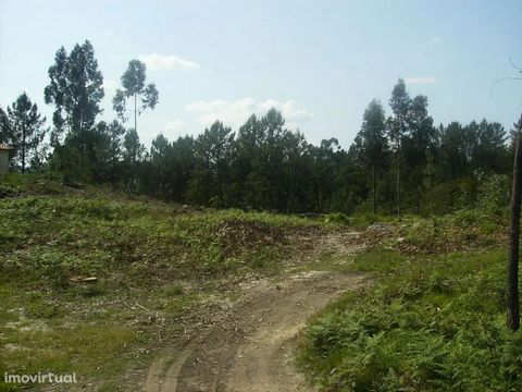 Land with an area of 2,952 m2; Good Access; Good Sun Exposure Excluded from the SCE, under Article 4, decree-law No. 118/2013, of August 20.