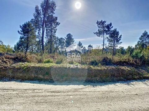 Land with 13.738m2 divided into two parts one of construction and the other forest. Located in a quiet area with good access and excellent sun exposure. Ideal for those looking for a land with a large area or even to monetize with plantation. It is a...
