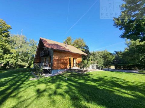 This superb chalet which has been totally renovated by Swiss craftsmen is located in the municipality of Lucelle (France side) only 37 km from Basel and its airport. As you pass through the front door, you will discover a spacious and warm layout whi...