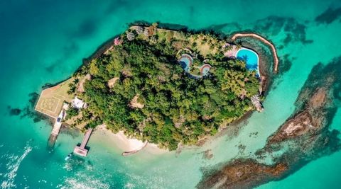 Considerada una de las mejores de Angra dos Reis, Río de Janeiro, esta isla bien ubicada está protegida, con una excelente topografía, un paisaje impresionante y una playa privada. Tiene una superficie total de 10.500 m² y aproximadamente 2.500 m² de...