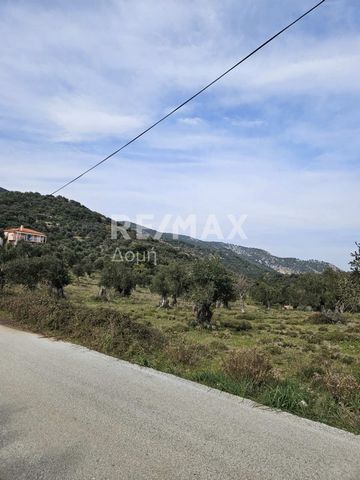 Property Code. 10834-9926 - Agricultural FOR SALE in Skiathos Moni Evaggelistrias for €230.000 . Discover the features of this 5956 sq. m. Agricultural: