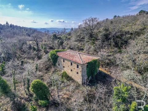 For sale is a rustico in a beautiful location that is sure to make your heart beat faster. The property, with approx. 3 hectares, is characterized by its delightful secluded location and is framed by breathtaking forest paths. These paths invite you ...