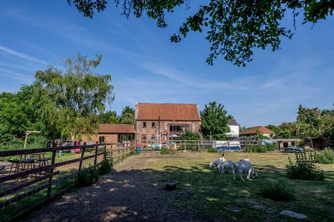 Fine and Country are pleased to offer a Substantial Period Barn Conversion in the rural setting of St. Johns Fen End. The property boasts approx. 3.5 acres of grounds including a number of fully fenced paddocks, outbuildings and stables. The ideal pr...