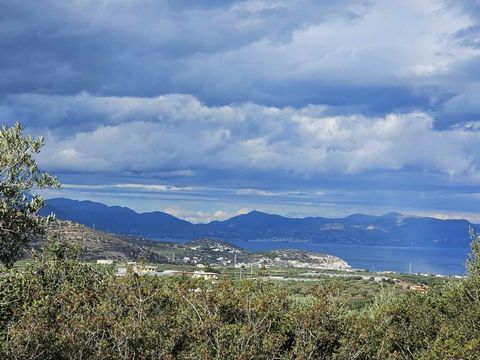 Located in Ierapetra. Beautiful building plot of 2256 m2, nicely positioned in the southern Mirabello Bay area, only about 3 km from the see, between the coastal village of Pachia Ammos and the town of Ierapetra. It enjoys views of the sea (Mirabello...