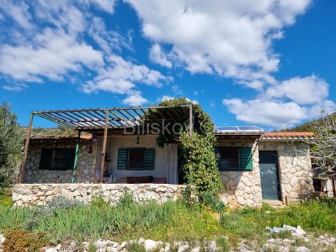 Marina, Vrsine, a ground floor house covering an area of 85 m2, on a plot of land measuring 2730 m2. This charming stone house, situated in the hamlet of Vrsine, not far from Seget Vranjice and Marina, offers an ideal rural retreat. With its 85 squar...