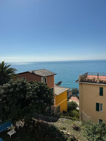Zoagli - Aurelia; We offer for sale an apartment in a typical 3-storey coastal building in excellent condition. It consists of entrance hall, large living room, kitchen, 2 double bedrooms and bathroom. The internal conditions are in good condition, t...
