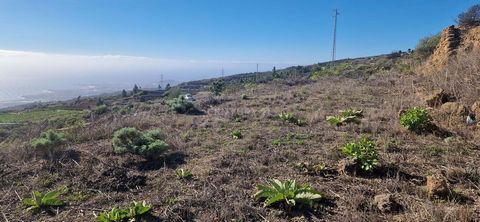 Grundstück von 2.576 m2 zum Verkauf im oberen Teil von Fasnia, in der Nähe von Archifira. Ein ruhiger Ort mit schöner Aussicht inmitten der Natur. Ein ganzer Raum, um es an Ihre Bedürfnisse anzupassen und Ihren eigenen Bauernhof zu haben, um zu wachs...