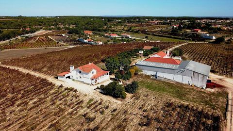 Located in the Cartaxo area of Ribatejo, we're promoting the sale of this centenary wine estate with 31 hectares, with excellent road access to the whole country, as well as a tarmac road to its entrance, about 40 minutes from Lisbon. The estate cons...