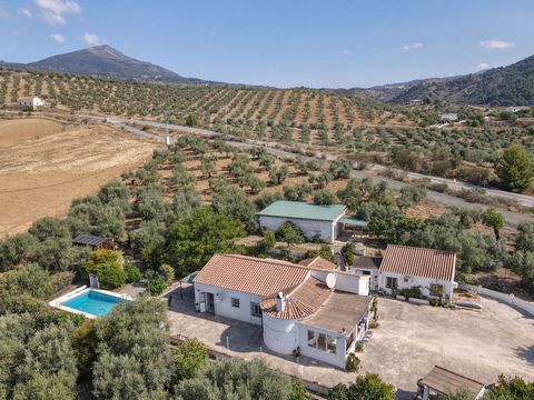 Detached Finca with separate accommodation . Large barn/storage room . 3 Bedrooms in the main house . Separate Casita 40m2 . Good access . Surrounded by Olive Groves . AFO in place . Jacuzzi Nestled amidst sprawling olive groves, in the countryside o...