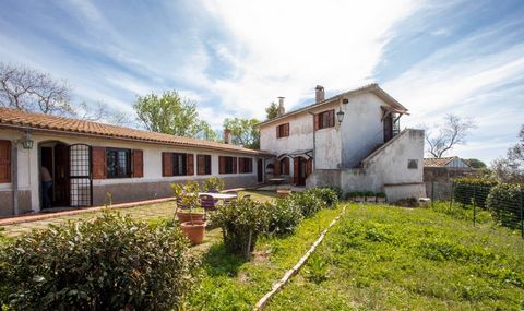 In one of the most prestigious areas of Tarquinia, identified with the name of Località Valle dell'Inferno, immersed in the green countryside, there is this majestic historic villa for sale. With a total area of 317 square meters, this residence repr...