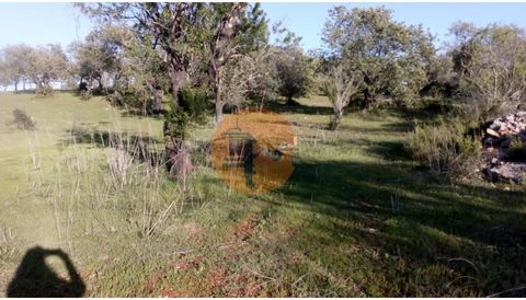 Rustic land, located in Paderne, approximately 15 minutes from Albufeira. With good views and very good access, one of the ends of which ends on a tarmac road and part of it is completely flat. Possibility of drilling a hole. With some trees. 15 minu...