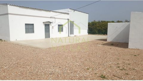 Enjoy Rural Tranquility with Modern Amenities Minutes from City Life! This charming, lovingly restored three-bedroom villa offers a perfect blend of modern comfort and rural charm. Located in Arneiro, Faro, this property is set in a quiet agricultura...