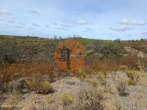 Terreno Rústico com 3.200 m2 sito na Murteira de Baixo, Azinhal em Castro Marim. Bons acessos até á localidade, contudo o acesso até ao terreno é pedonal. Próximo eletricidade. Algumas árvores. Parte plana para caravana e casa amovível. Juntamente co...