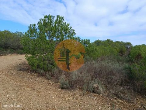 Land with 129.680 m2, Palmeira, in Alcoutim - Algarve. Land with good access. Unobstructed view of the Algarve Mountains and in the middle of nature. Land with lots of trees. Possibility of building a house for the farmer and agricultural support and...