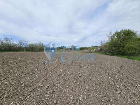 Top Estate Real Estate offers you a large plot of land with an old house in the village of Dragomirovo, Veliko Tarnovo region. The plot has an area of about 2700 sq.m, and there is a house for major renovation and an outbuilding. The property has ele...