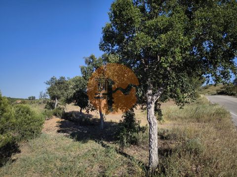 Land with 61,440 m2, close to Corte do Gago, Azinhal, Castro Marim. Possibility of building the farmer's house. Maximum 500 m2. Possibility for tourism. Maximum 2,000 m2. It has a well and water bed. Land with pine forest, there are around 300 cork o...