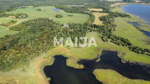 Dies ist ein Paradies für Naturliebhaber, ideal zum Beobachten von Vögeln, Jagen, Angeln, Pilzsammeln und Beerensammeln. Saaremaa bietet eine abwechslungsreiche Umgebung zum Wohnen und Urlauben mit interessanten Aktivitäten. Weitere Informationen fin...