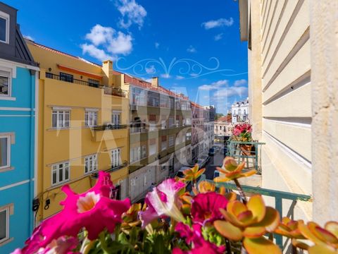 En Campolide, muy cerca de Amoreiras, y del Liceo Francés, podemos encontrar este edificio de 4 plantas, con garaje, ascensor y patio de 65m2, totalmente reformado en 2004 y transformado en vivienda unifamiliar. En la planta baja se encuentra el gara...