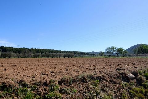 The domek wiejski w Bellcaire d´Empordà ma 3 sypialnie i obłożenie dla 6 osób. Nocleg od 60 m² zalotny i nowoczesny. Znajduje się w pobliżu 600 m miasta 