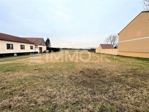 Would you like a special location? Plan and build your houses according to your own wishes and ideas. This great property is located 30 km from Vienna. This is where your wish comes true for you and your loved ones! Here are the key data on this prop...