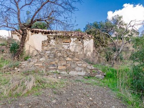 Parcela rústica ubicada en el municipio de Salares, con una extensión de 37.341 m². Limita con el Parque Natural de la Sierra Tejeda, proporcionando impresionantes vistas a las montañas.