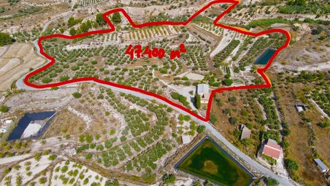 Finca on the outskirts of the village of Somontín. At 50 minutes from the beaches of Mojácar, Garrucha and Vera. With two cortijos and warehouse and other constructions. One cortijo with large warehouse of about 150 m2. to restore. Consists of 1 bath...