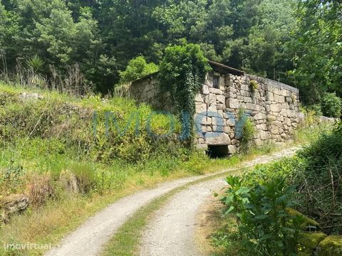 Land with 1500m2 and ruin of 1 floor, with approximately 90m2 for reconstruction, inserted in a paradisiacal area with regard to silence and contact with nature. Located on the bank of a stream, it allows the installation of a mini-hydro plant for el...