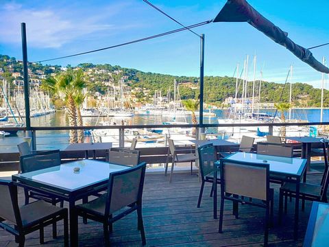 Ideal location on the port of St Mandrier for this wonderful restaurant with terraces. Transfer of business and premises. With a total capacity of 150 seats for a total surface area of ??330m², it comes with 2 terraces respectively equipped with shad...