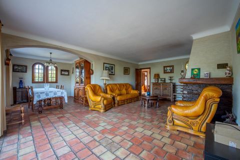 photo no. 4